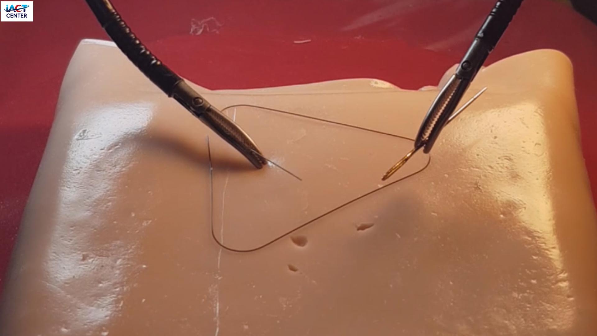 Robotic surgery on phantom and ex-vivo animal tissue